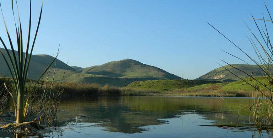 A view of the Yarmouk Nature Reserve, situated in the northwestern parts of Jordan (Photo courtesy of the RSCN)