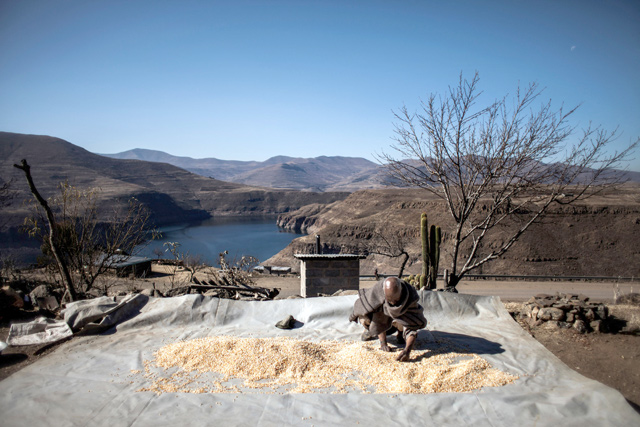 In this file photo taken on July 13, 2016, 65-year-old farmer Mohlakoana Molise sorts through his last yield for the year in front of the controversial Katse Dam in Katse (AFP photo)