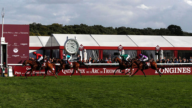 Waldgeist winning the Prix de l'Arc de Triomphe at Longhamp last October (AFP photo by Geoffroy Van Der Hasselt)