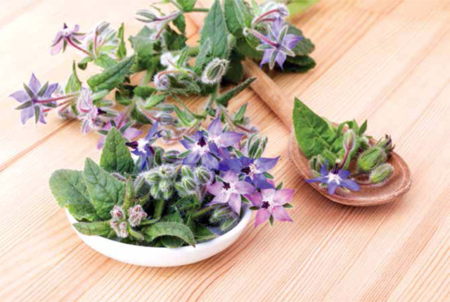 Photo courtesy of Family Flavours magazine