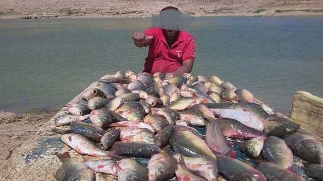 Unregulated fishing of carp puts the specie in danger, according to the Jordan Outdoor Association (Photo courtesy of Jordan Outdoor Association)