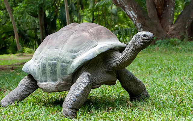Photo courtesy of wordpress.com