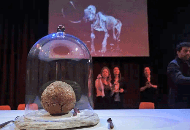 A meatball made from flesh cultivated using the DNA of an extinct woolly mammoth is presented at NEMO Science Museum created by a cultured meat company, in Amsterdam, Netherlands, on Tuesday (AFP photo)