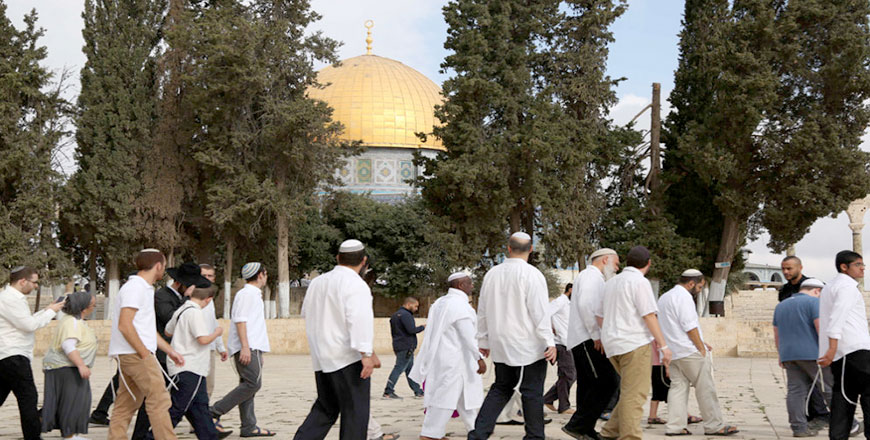 The Foreign Ministry on Tuesday condemned the ongoing Israeli violations at Al Aqsa Mosque/Al Haram Al Sharif, the latest of which was allowing extremist settlers to enter the compound  (Petra photo)