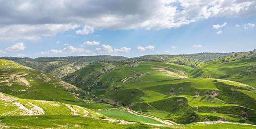 Jordan has great potential to grow its economy and provide jobs through expanding its use of green energy, a Phenix Centre report showed on Tuesday  (JT file photo)