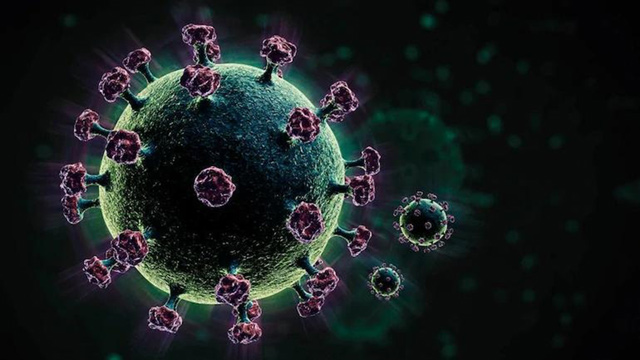  A conceptual representation of the coronavirus (AFP photo)