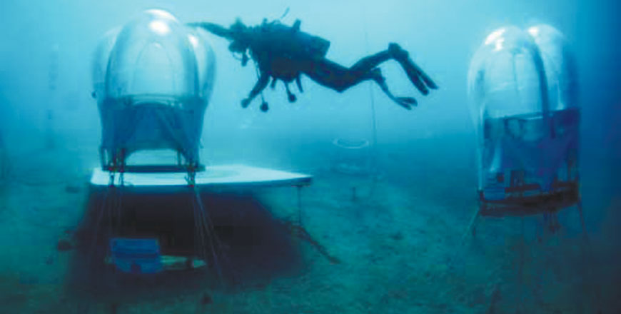 Project coordinator of Nemo’s garden, Gianni Fontanesi, checks immerged Biospheres in Noli (AFP photo)