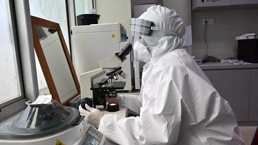 To find the origins of the new coronavirus, scientists are tracing its 'family tree' (AFP photo)