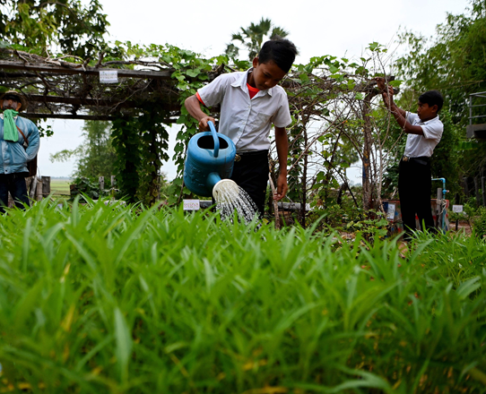 A student waters vegetables in a garden as others attend to chores at a school in Siem Reap, Cambodia, on July 8  (AFP photo by Tang Chhin Sothy)
