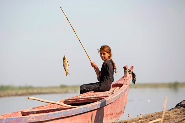 A girl catches a fish in the marshes of the southern district of Chibayish in Dhi Qar province, about 120 kilometres northwest of the southern city of Basra, on September 23 (AFP photo)