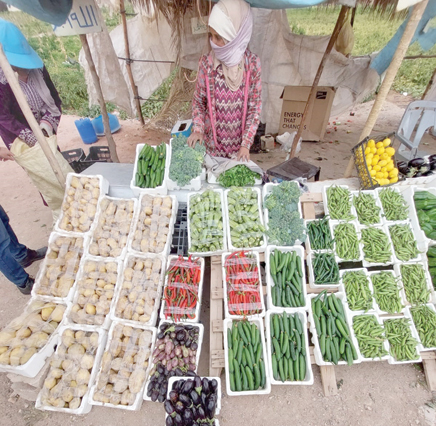 A vegetable vendor at his roadside stall in the Jordan Valley in this recent photo (By Imke van Smoorenburg)