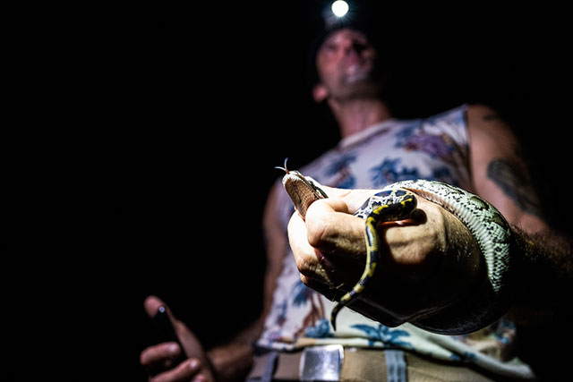 Enrique Galan catches a Burmese python at the  Everglades National Park in Florida  (AFP photo)