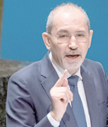  Ayman Safadi