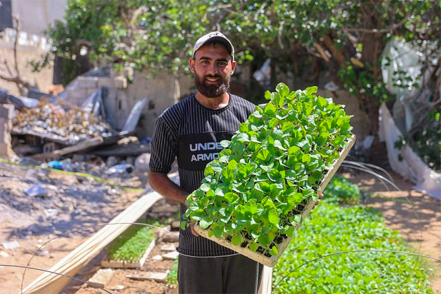 Yousef Abu Rabee currently resides in Beit Lahia, located in the northern part of the Gaza Strip, an area known for its agriculture (Photo of Yousef Abu Rabee)