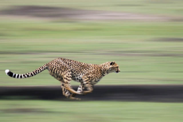 AFP photo