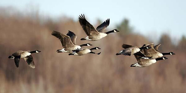 Photo courtesy of wordpress.com