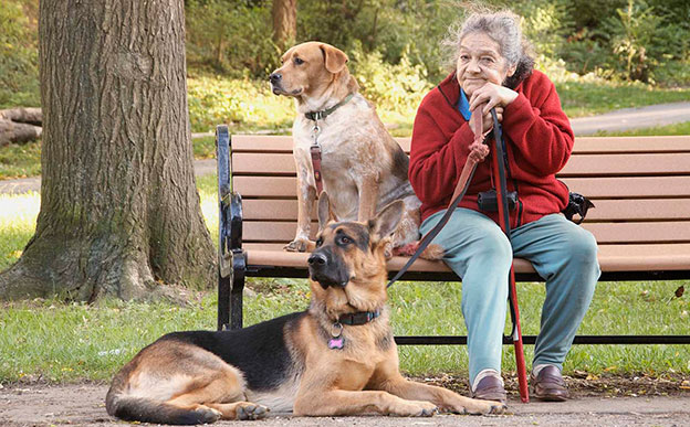 Photo courtesy of petcube.com