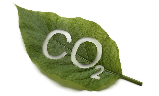 Photo courtesy of stream.org