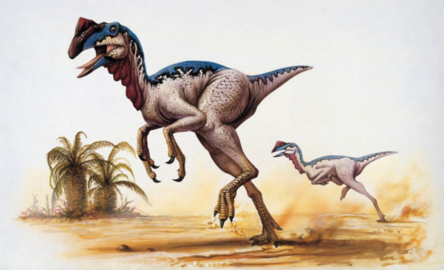 Possessing metabolic characteristics of both warm-blooded and cold-blooded animals could have given dinosaurs an ecological advantage (AFP photo)