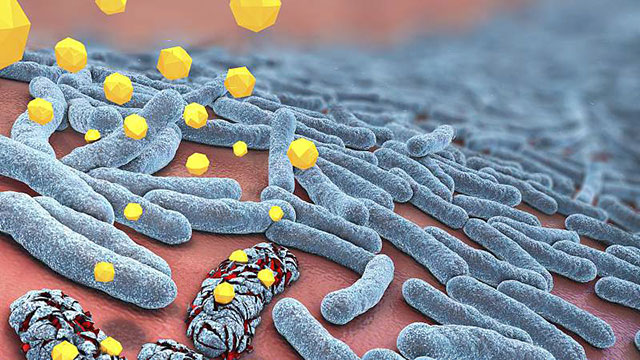 Using higher doses of antibiotics to tackle the growing problem of drug resistance may end up strengthening certain bacteria (Photo courtesy of wordpress.com)