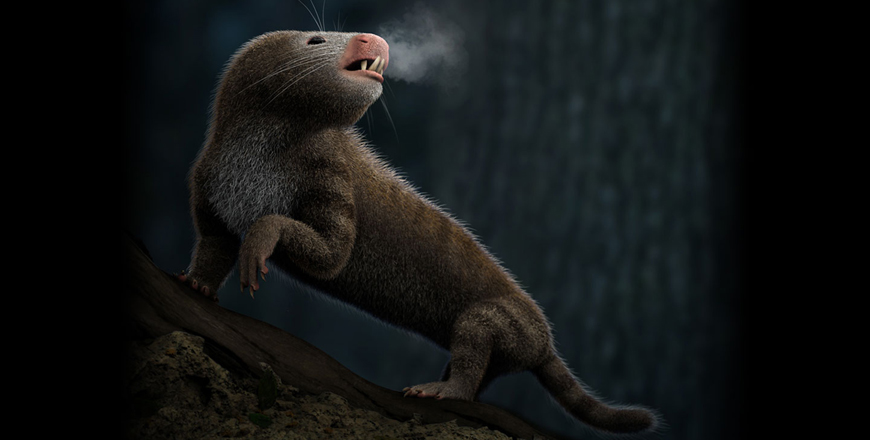 An artist’s reconstruction of the Mammaliamorph Kayentatherium, a member of the mammalian evolutionary lineage that lived in what is now the US state of Arizona during the early Jurassic Period (AFP photo)