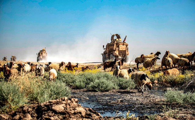 US military vehicles pass by sheep grazing and drinking from a stream polluted by an oil spill near the village of Sukayriyah, in the countryside south of Rumaylan (Rmeilan) in Syria's Kurdish-controlled northeastern Hasakeh province, on July 19 (AFP photo)