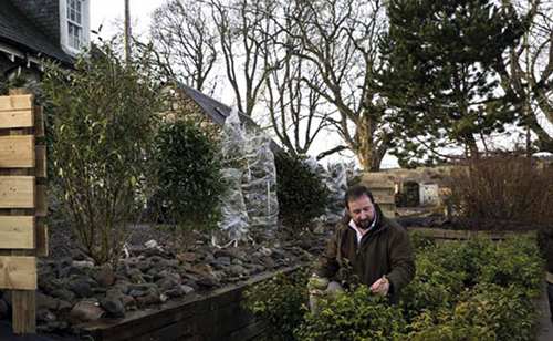 Irish entrepreneur Tam O’Braan checks on tea plants at the Dalreoch Estate in Amulree in this undated photo (AFP photo)