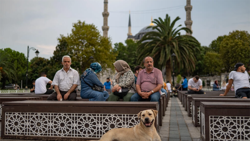   Dogs have a special place in the culture of Muslim-majority Turkey (AFP photo)