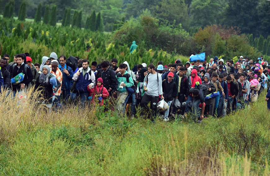 Migrants make their way through the countryside after they crossed the Hungarian-Croatian border near the village of Zakany in Hungary to continue their trip to north on Sunday (AFP photo)