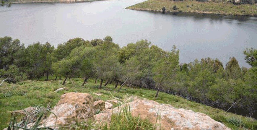 A view of the King Talal Dam in Jerash, some 50km north of Amman (File photo)