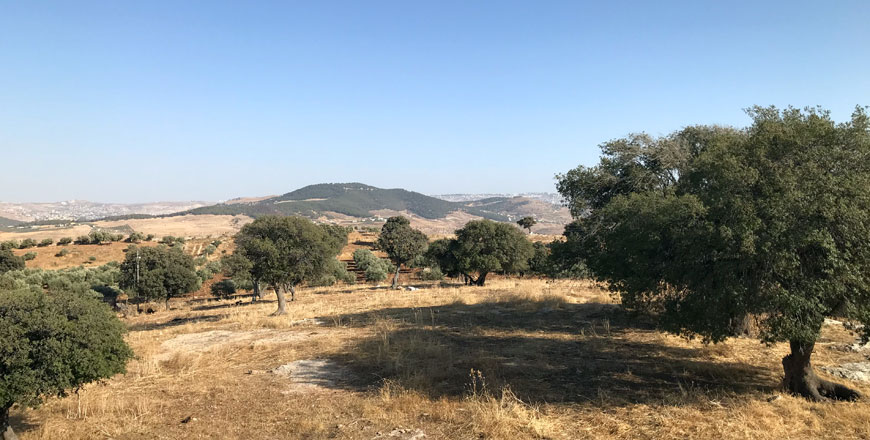   The Jordan Meteorology Department  warned against staying in the sun for an extended period of time, especially during midday (Photo by Johanna Montanari)